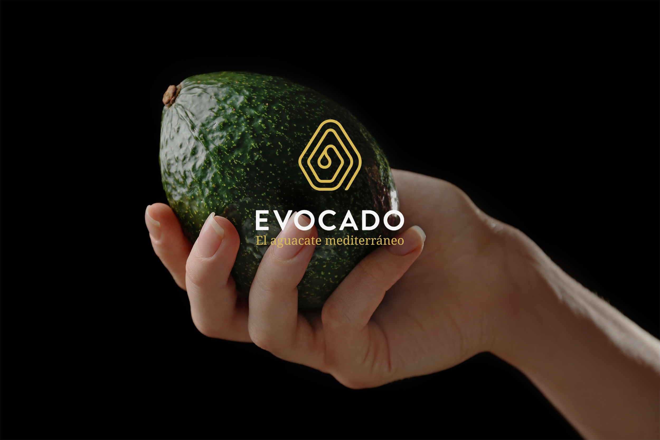 El aguacate mediterráneo