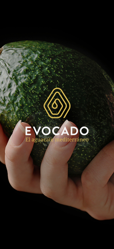 El aguacate mediterráneo